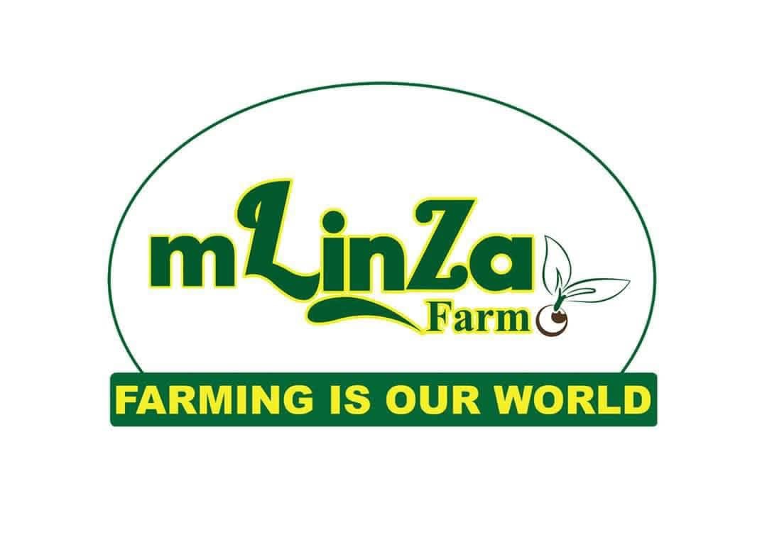 mlinzafarmholdingsltd.com